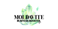 Moldavite Business Booster