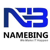 Namebing Solution LLP