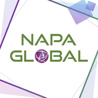 NAPA - IT Services and Consulting