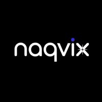 NaqviX