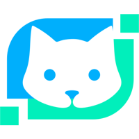 Neticat