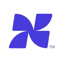 Netro Systems Limited
