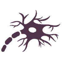 Neurit.net