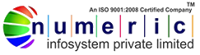 Numeric Infosystem Pvt Ltd