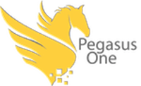 Pegasus One