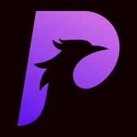 Phoenix Software Development Compnay