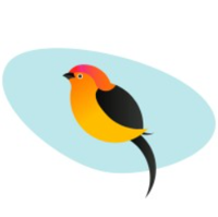 Pipra Solutions
