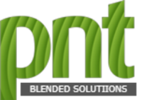 PNT Global