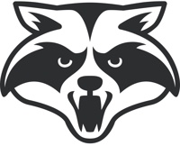 Raccoon Soft