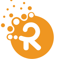 Raise IT Solutions Ltd.