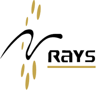 Rays TechServ