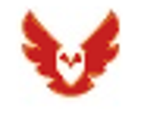 Red Owl IT