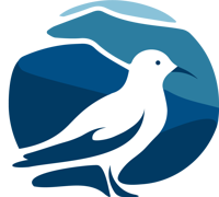 Seagull Software Development