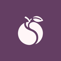 SEO Plum