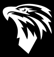 SkyHawksFusion