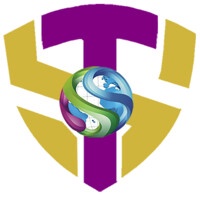 SkyTechNG Integrated Services