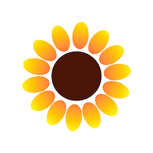 sunflower lab