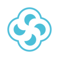 Survin IT Solutions