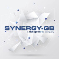 Synergy Global Business, C.A.