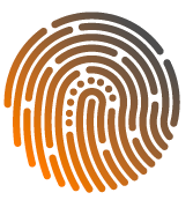Tapcrew LLC