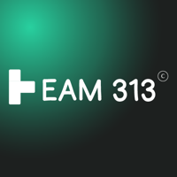 Team 313 Ltd