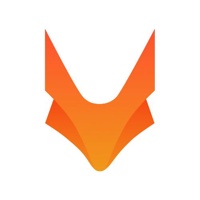 TechFox International Technology Joint Stock Stock Company