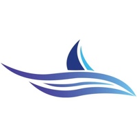 Techno Sharks