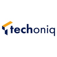 TECHONIQ LLC