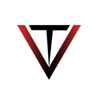 TECHVIZON PRIVATE LIMITED
