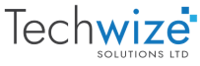 TechWize