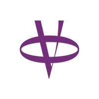 The Vyu