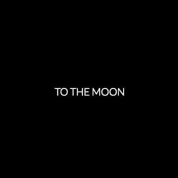 to the moon 