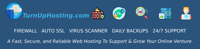 TurnUpHosting Web Services LLC