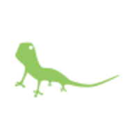 Visual Lizard Inc.