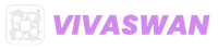 Vivaswan Software Technologies Private Limited
