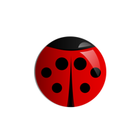 WadyBug LLC