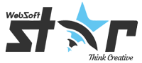 Websoftstar Infosystems LLP