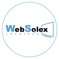 WebSolex Infotech