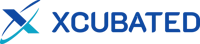 XBS Outsourcing INC