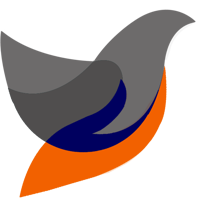YoungStone Technologies
