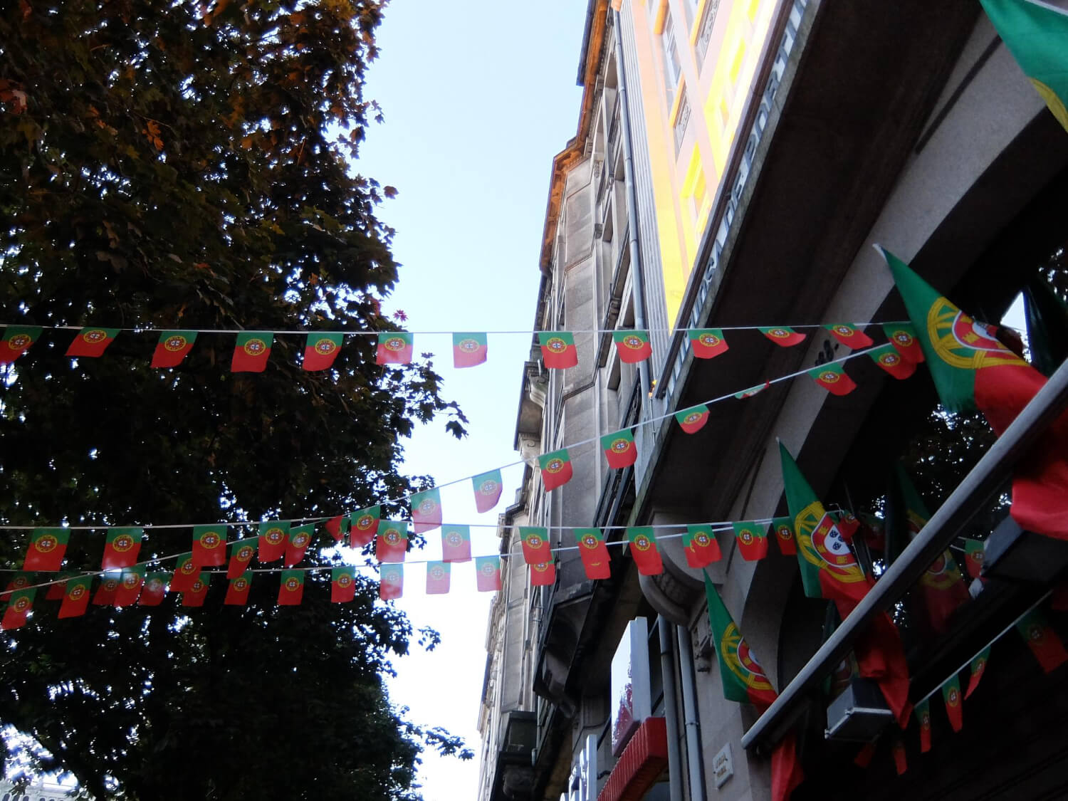 Top 10+ Advertising Flags Printing Companies in Melbourne [Year]