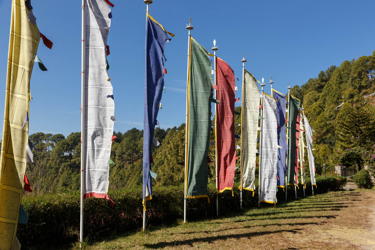 Top 10+ Custom Flags Printing Companies in Saskatoon [Year]