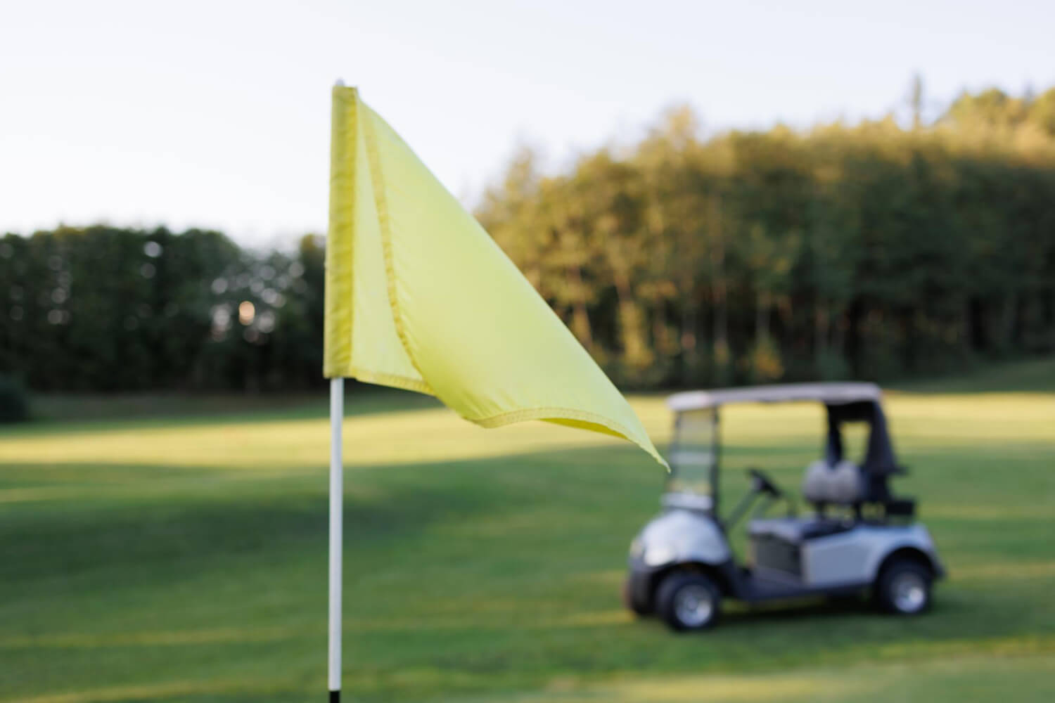 Top 10+ Custom Golf Flags Printing Companies in Madurai [Year]