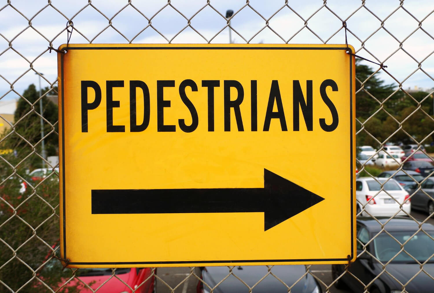 Top 10+ Custom Rigid Signs Printing Companies in Saskatoon [Year]