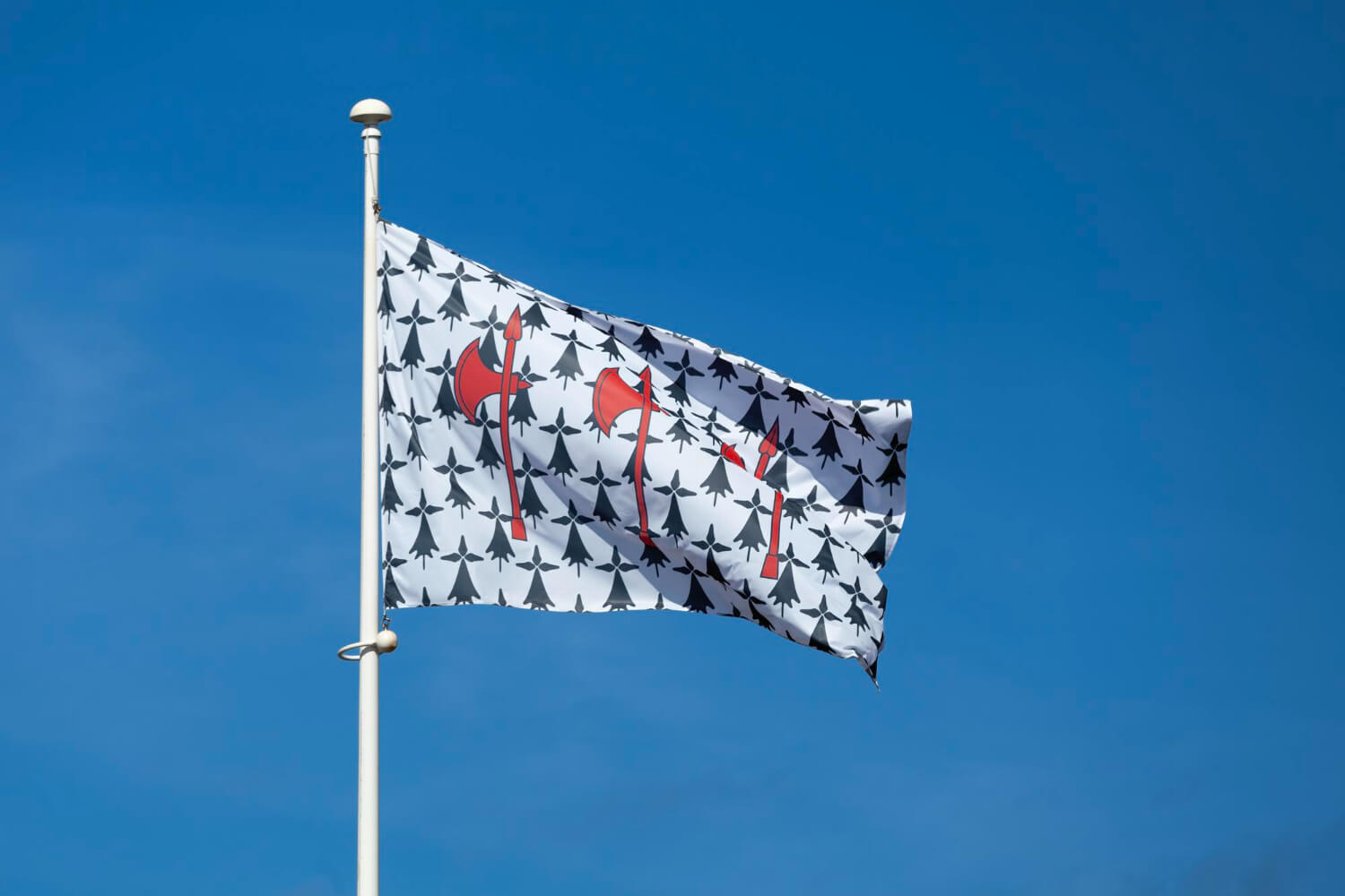 Top 10+ Pre-Printed Flags Printing Companies in Greater London [Year]