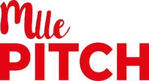 mlle pitch printing